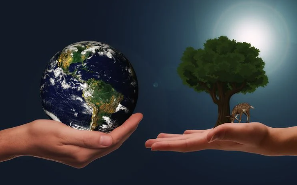sustainable environment
